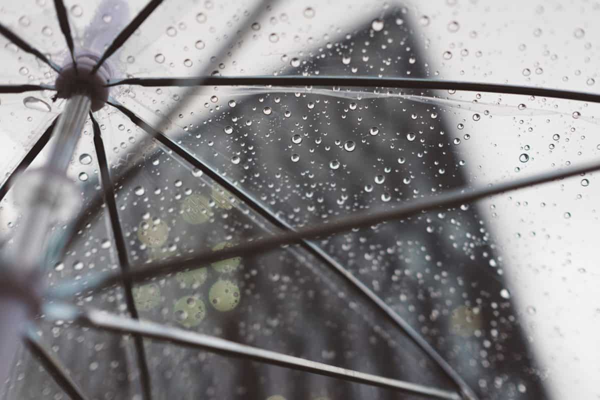 Weather