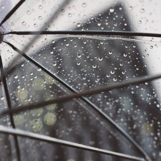 Weather
