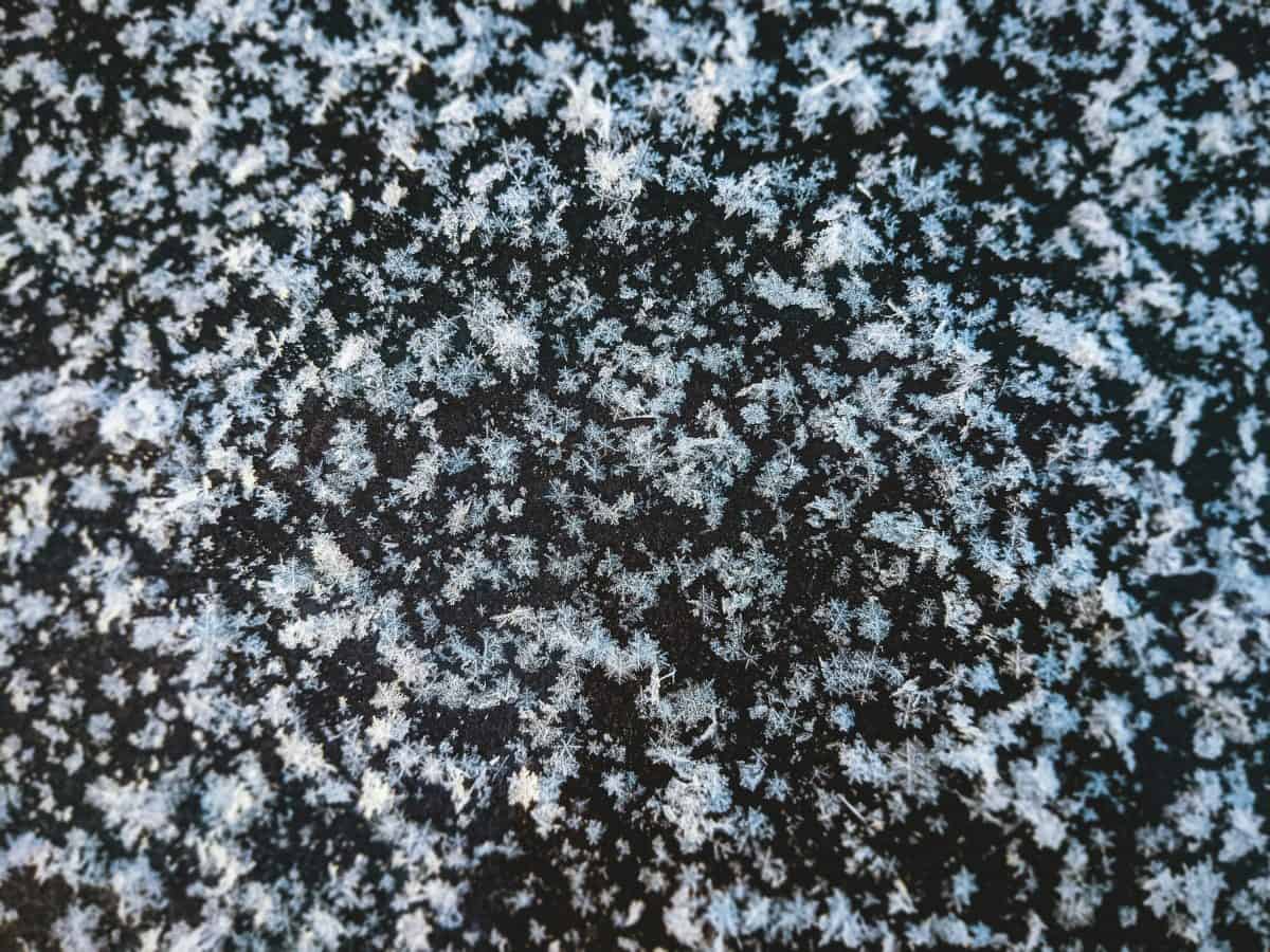 Weather Cork