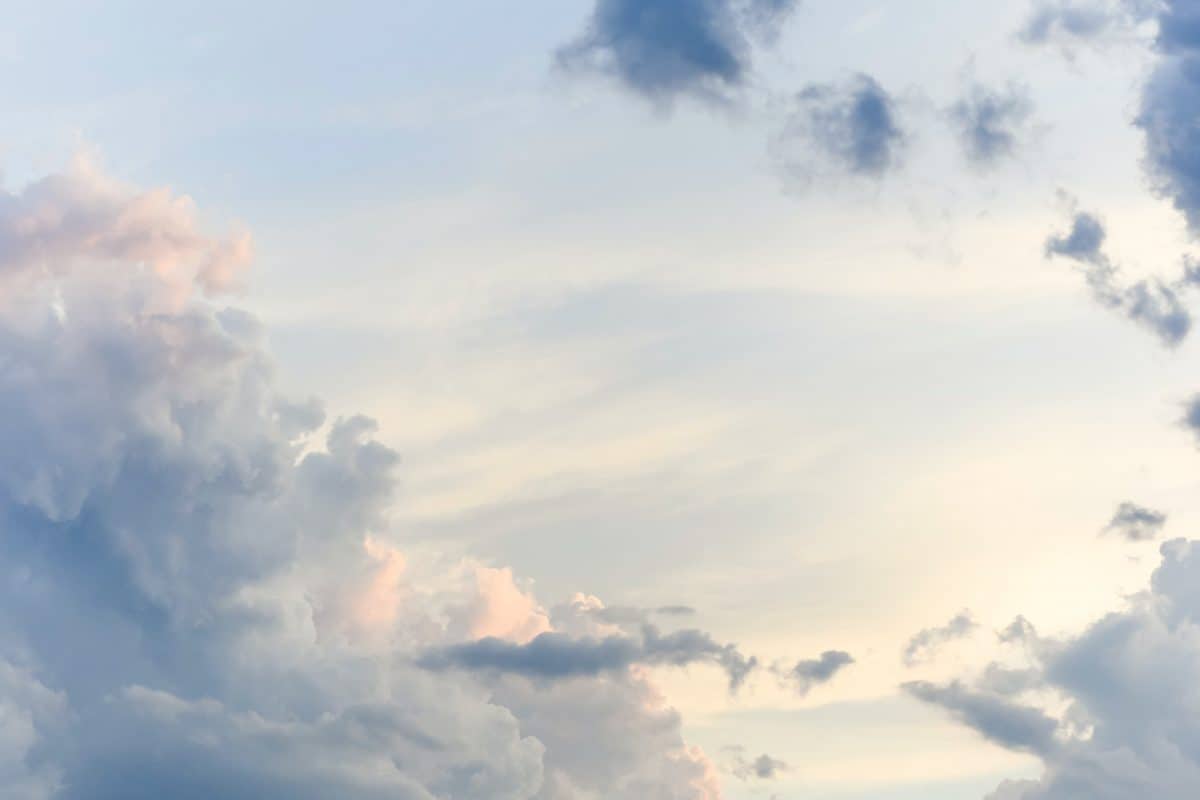 Weather