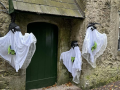 This Cork castle is hosting a spooktacular free Halloween Haunted Walk on Monday