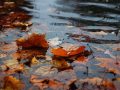 Status Orange Warning issued for Cork as Storm Austen brings heavy rain and flooding